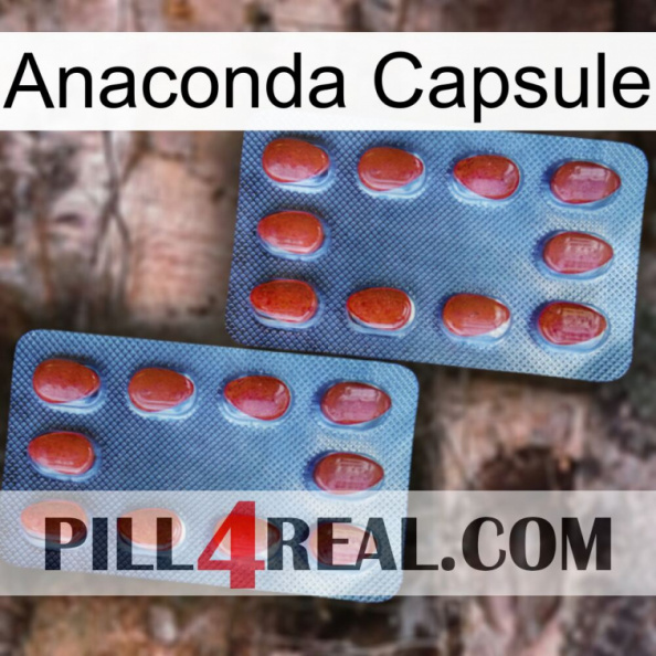 Anaconda Capsule 05.jpg